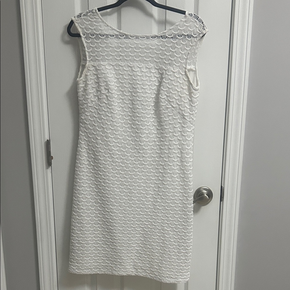 Adrianna Papell Ivory Lace Mini Dress